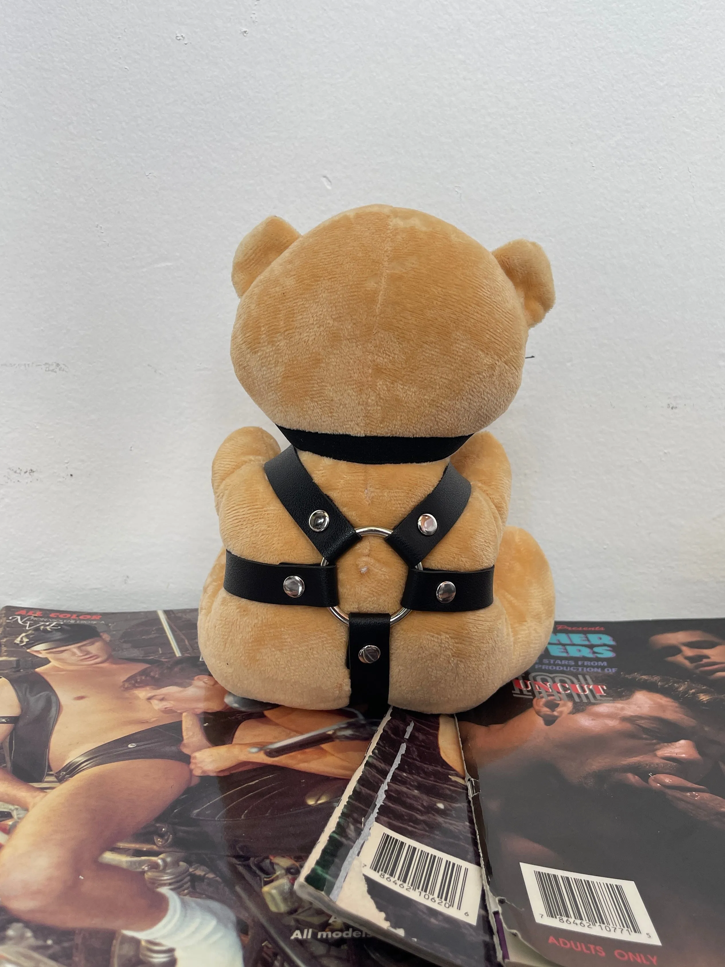 BDSM TEDDY BEAR PLUSH