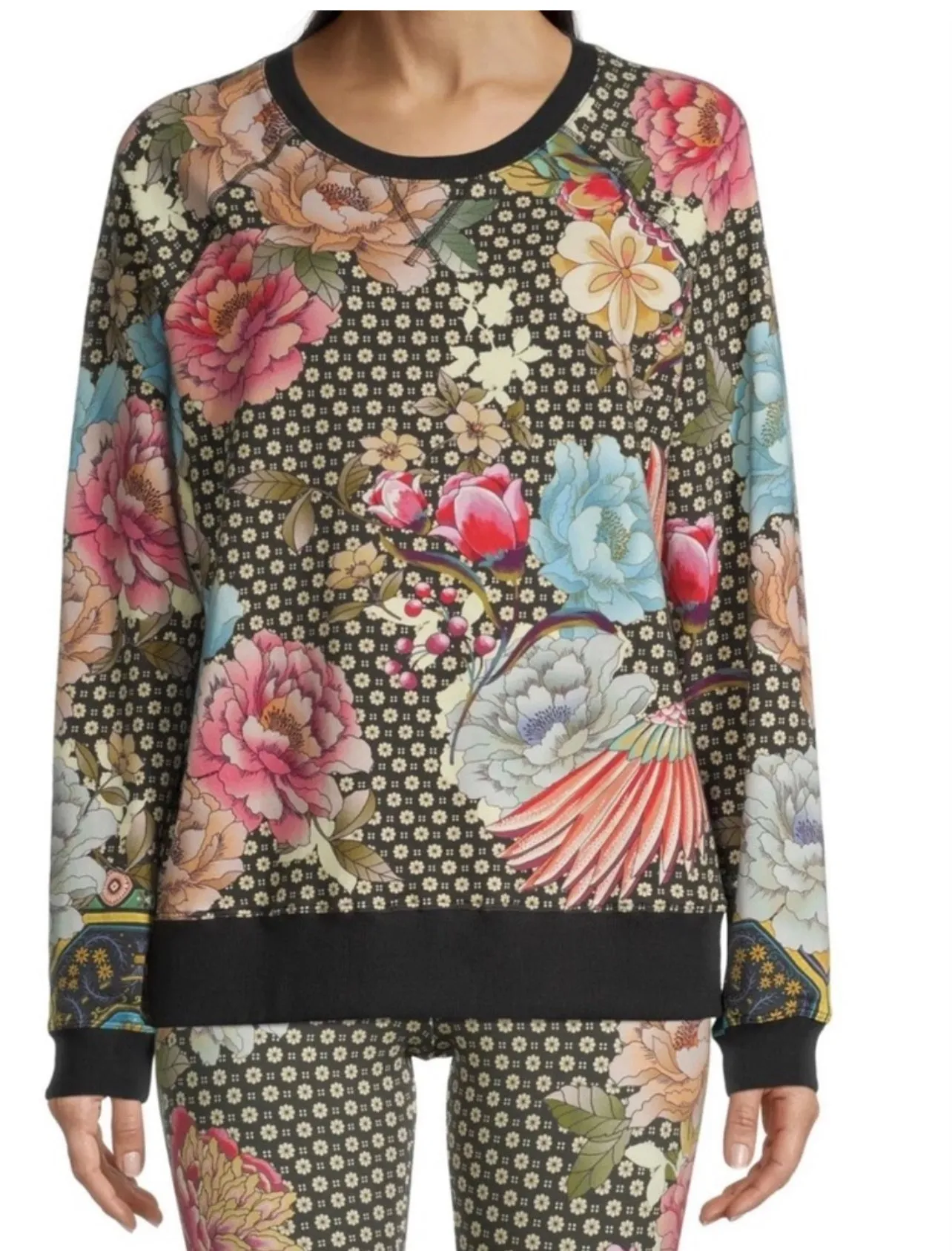 Johnny Was Fagan Raglan Sleeve Sweatshirt Medium