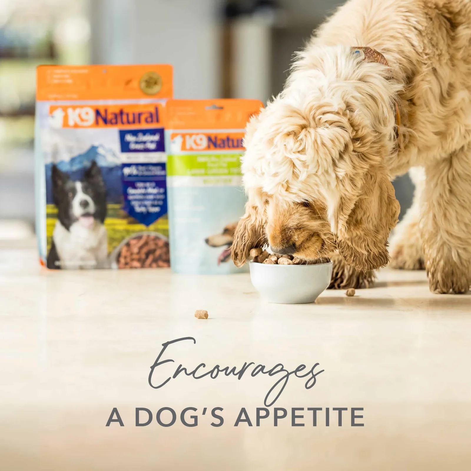 K9 Natural Grain Free Freeze Dried Dog Food Supplement Booster Lamb Green Tripe