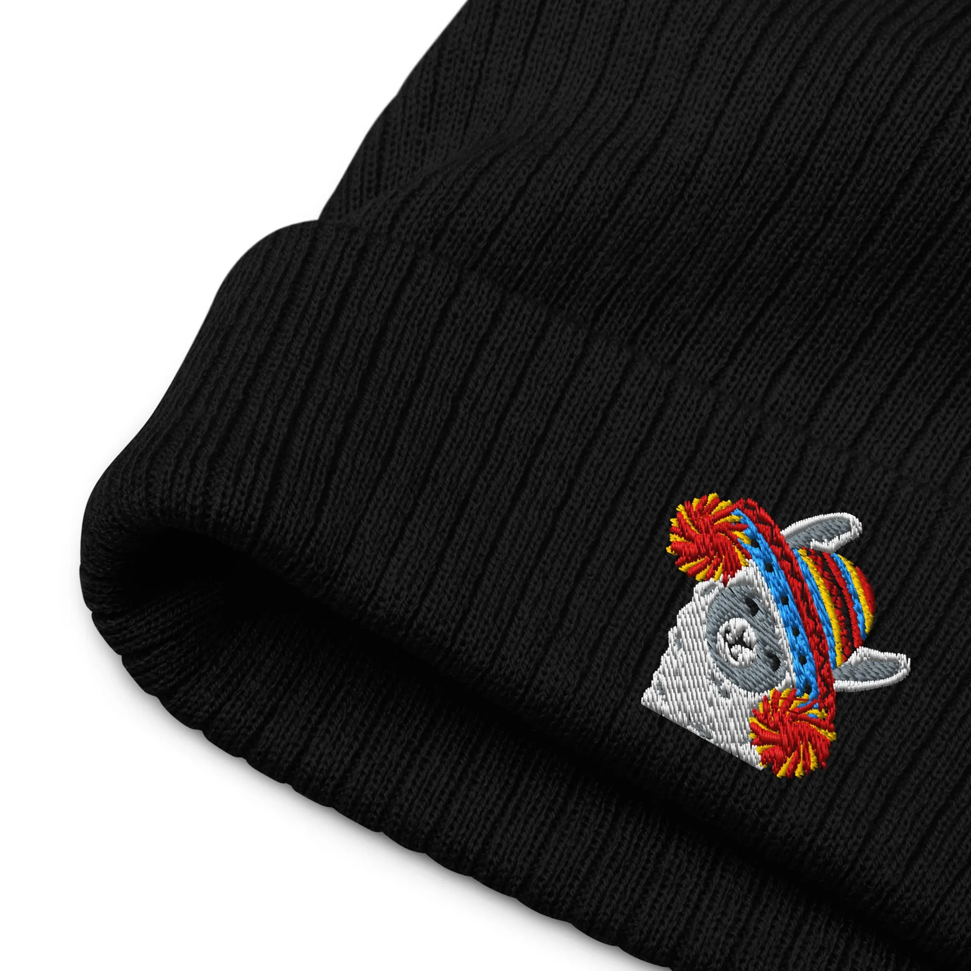 Peruvian Alpaca Embroidered Beanie