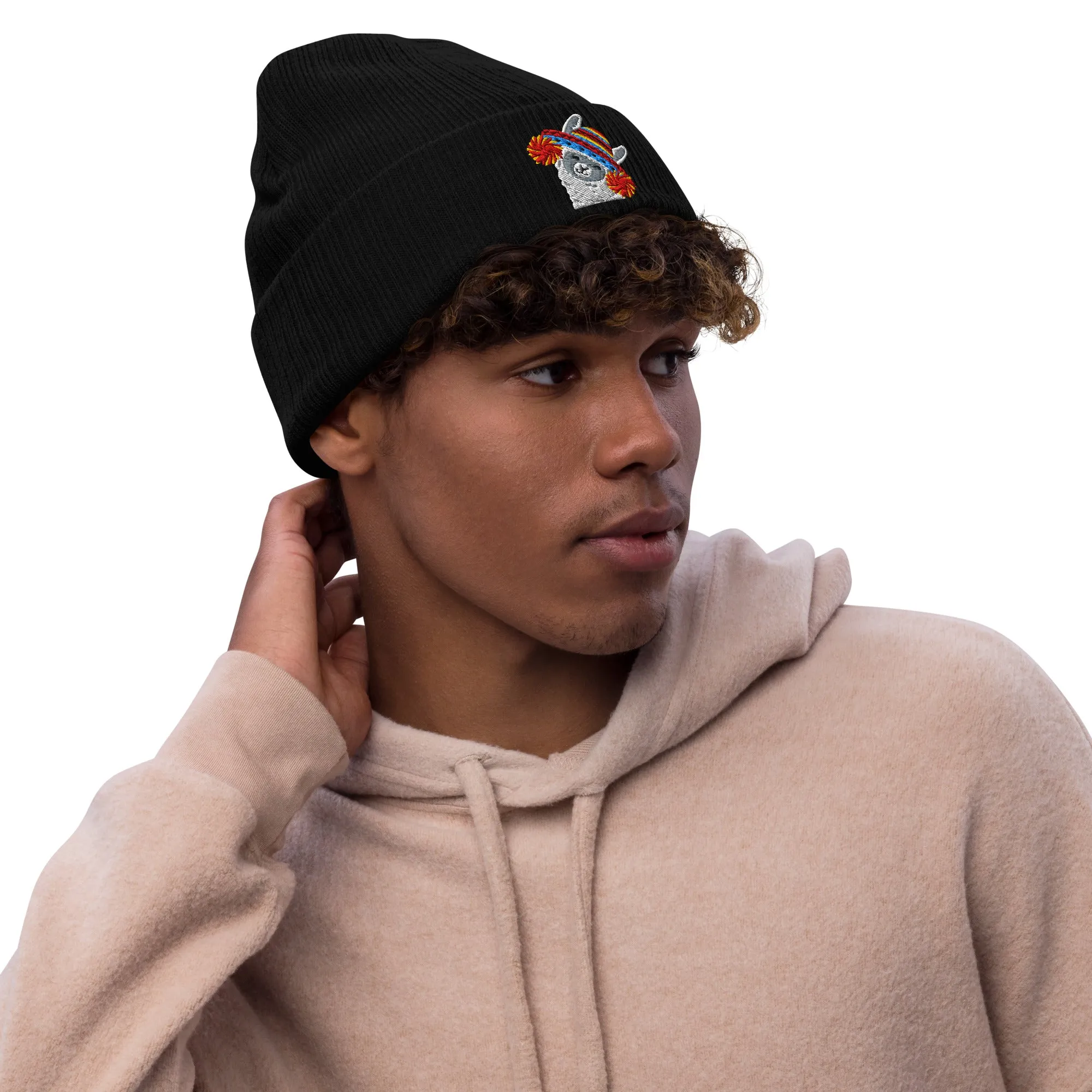 Peruvian Alpaca Embroidered Beanie