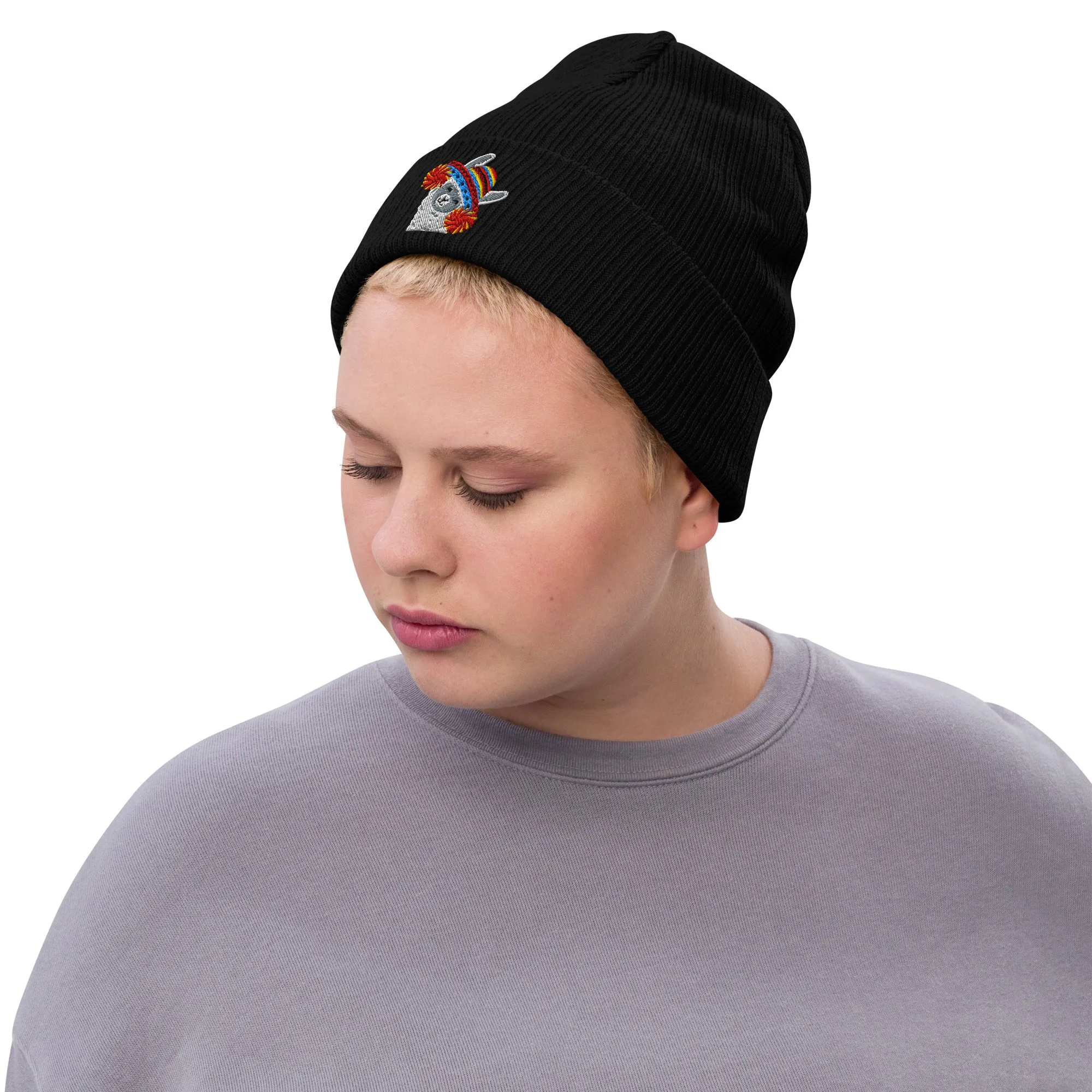 Peruvian Alpaca Embroidered Beanie