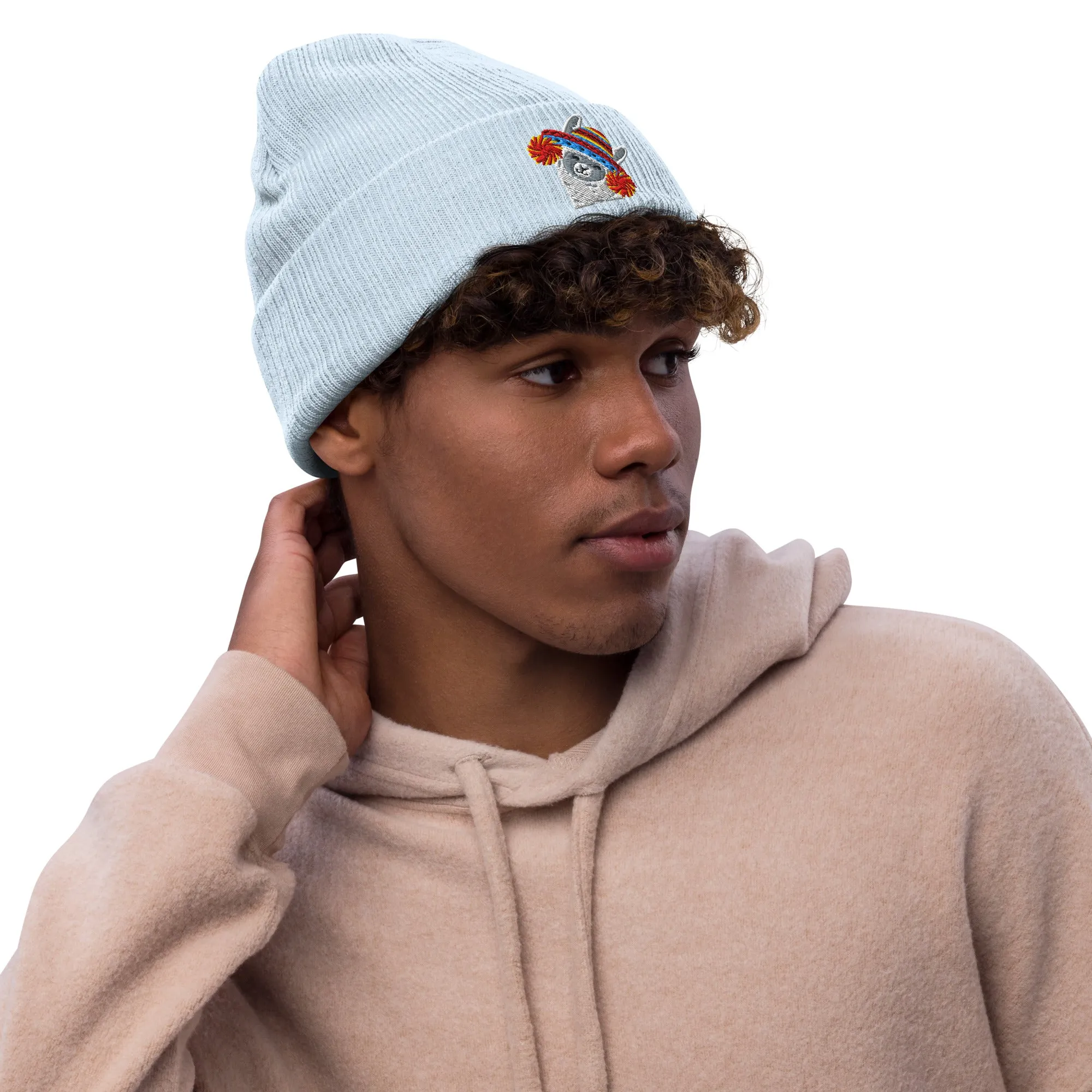 Peruvian Alpaca Embroidered Beanie
