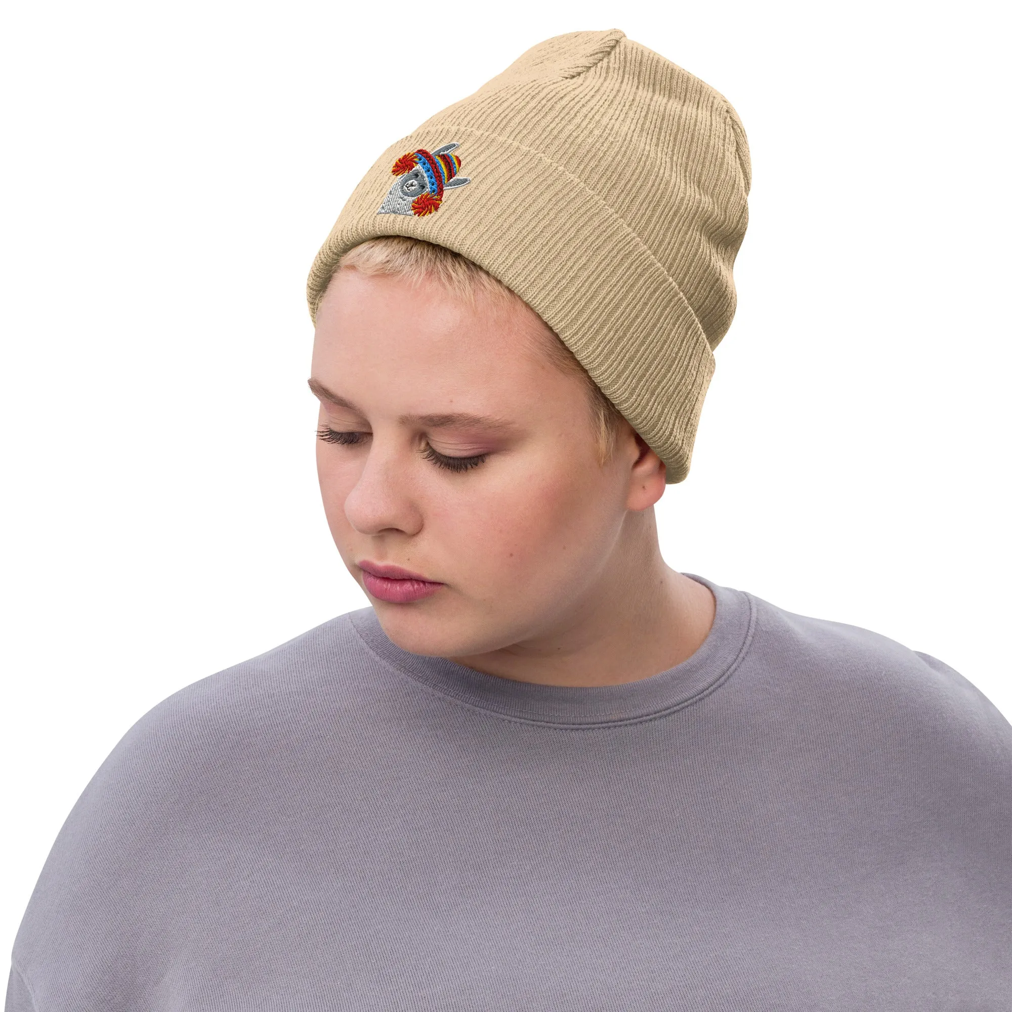 Peruvian Alpaca Embroidered Beanie
