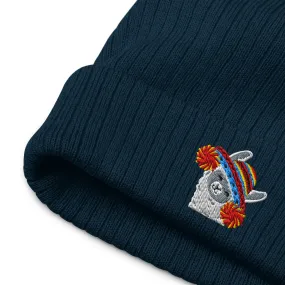 Peruvian Alpaca Embroidered Beanie