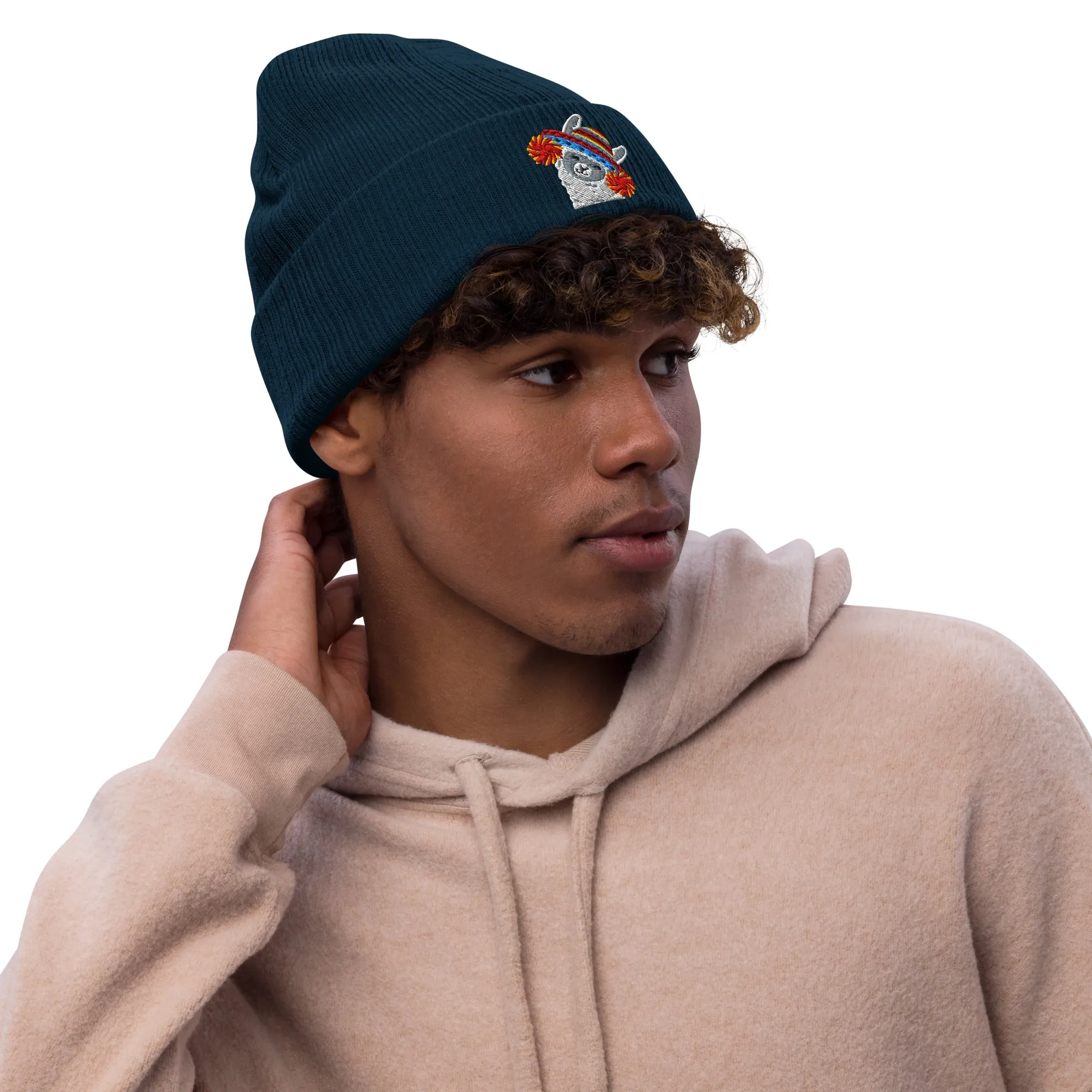 Peruvian Alpaca Embroidered Beanie