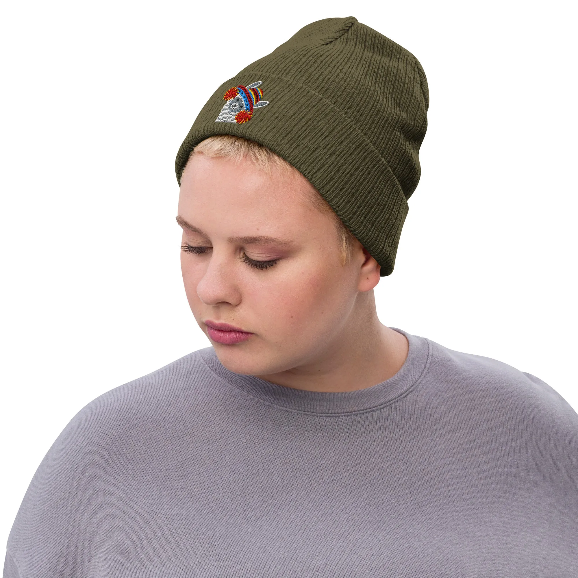 Peruvian Alpaca Embroidered Beanie