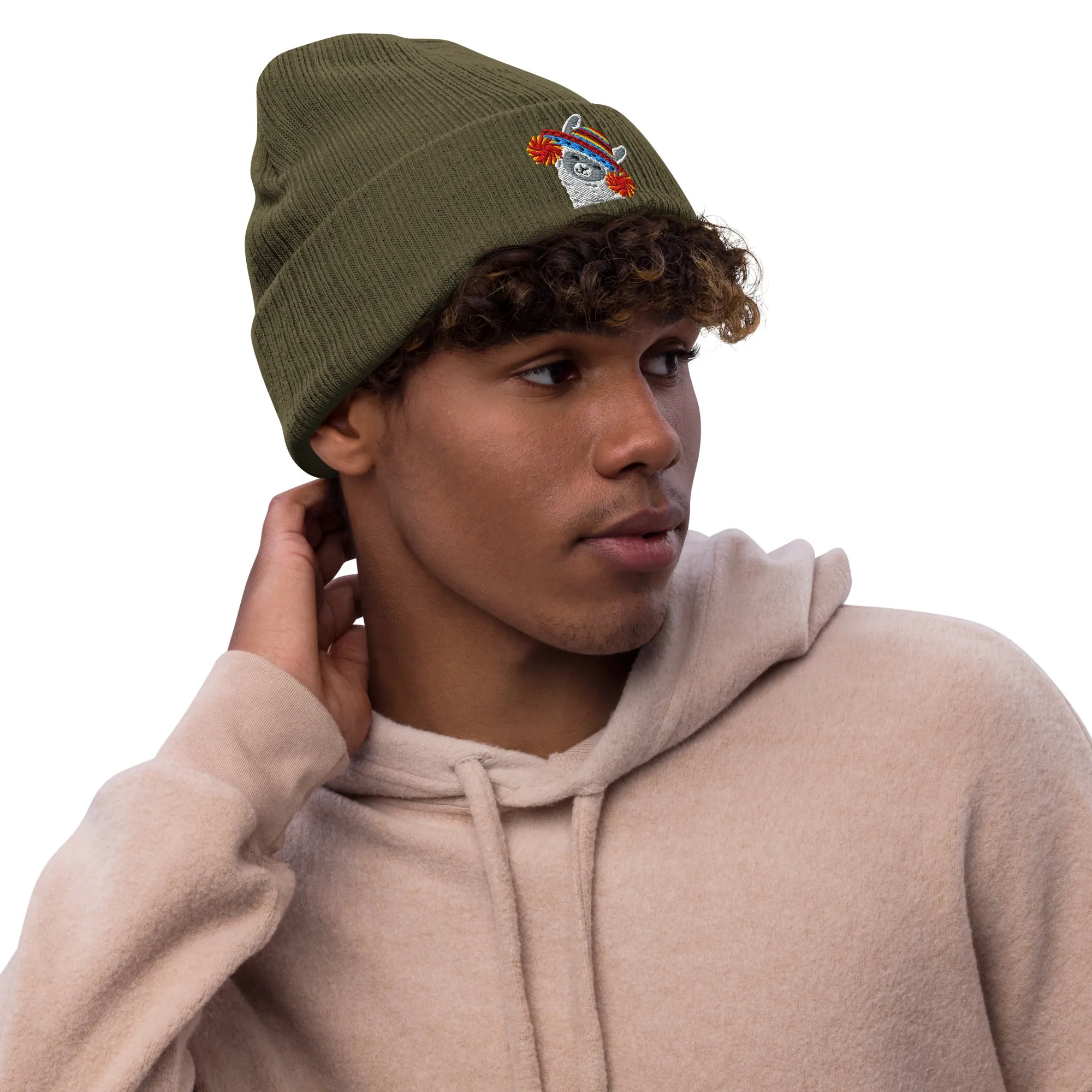 Peruvian Alpaca Embroidered Beanie