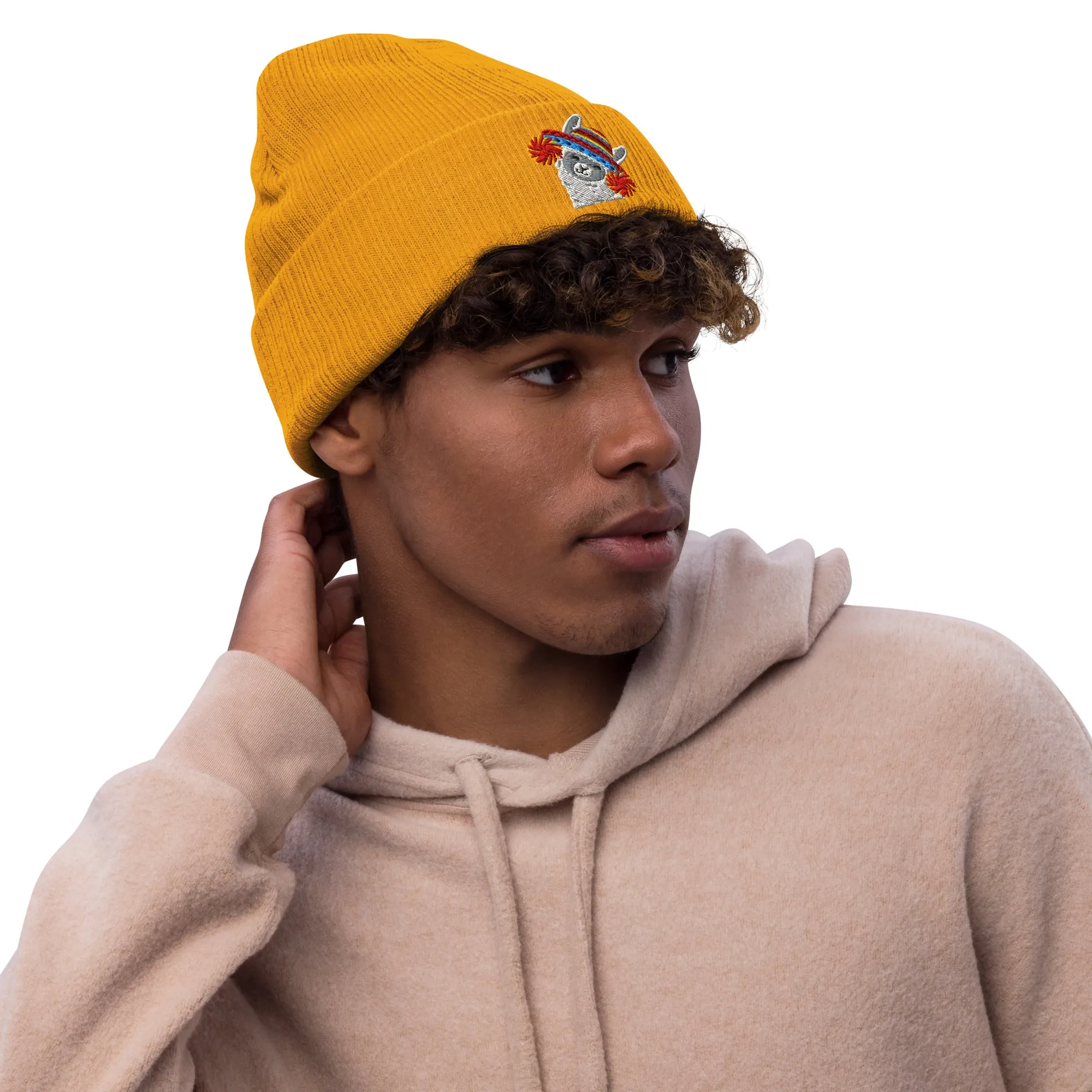 Peruvian Alpaca Embroidered Beanie