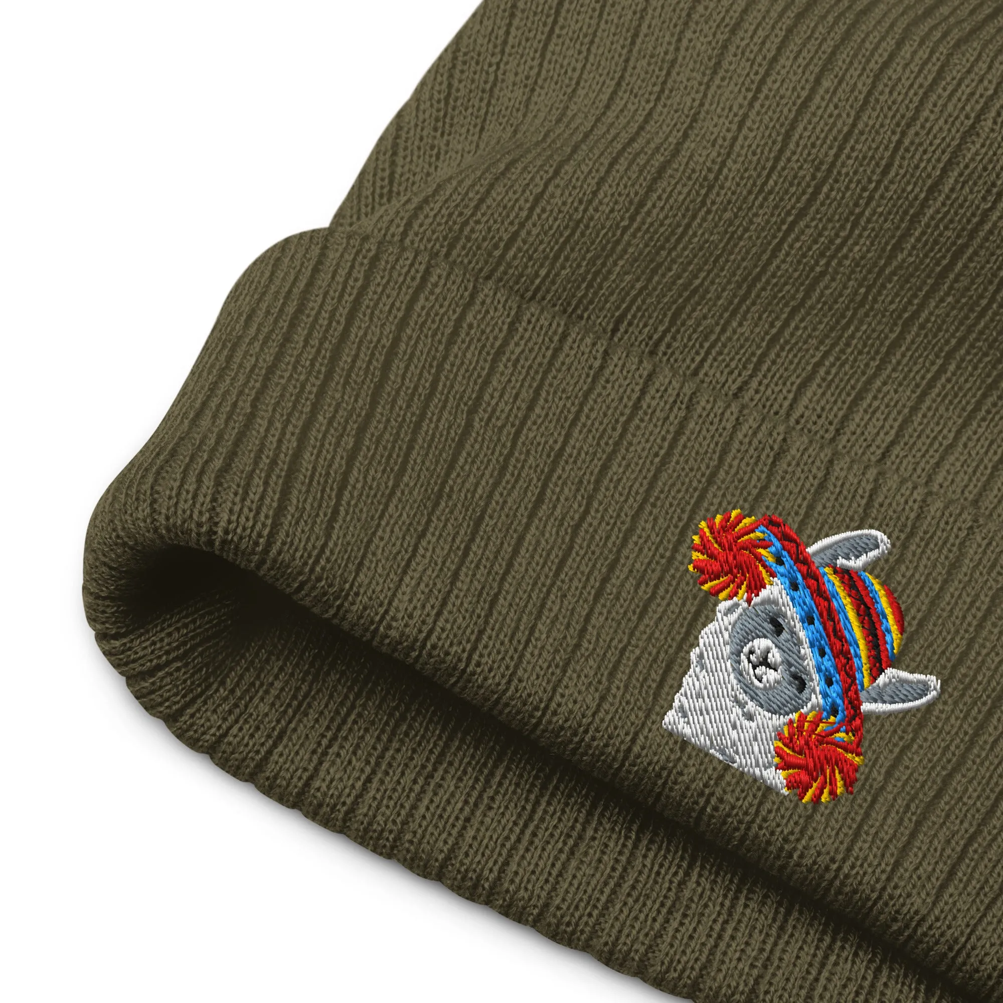 Peruvian Alpaca Embroidered Beanie