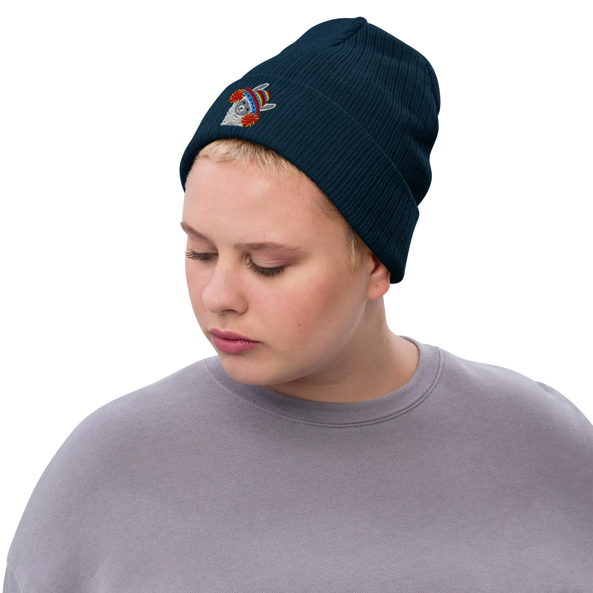 Peruvian Alpaca Embroidered Beanie