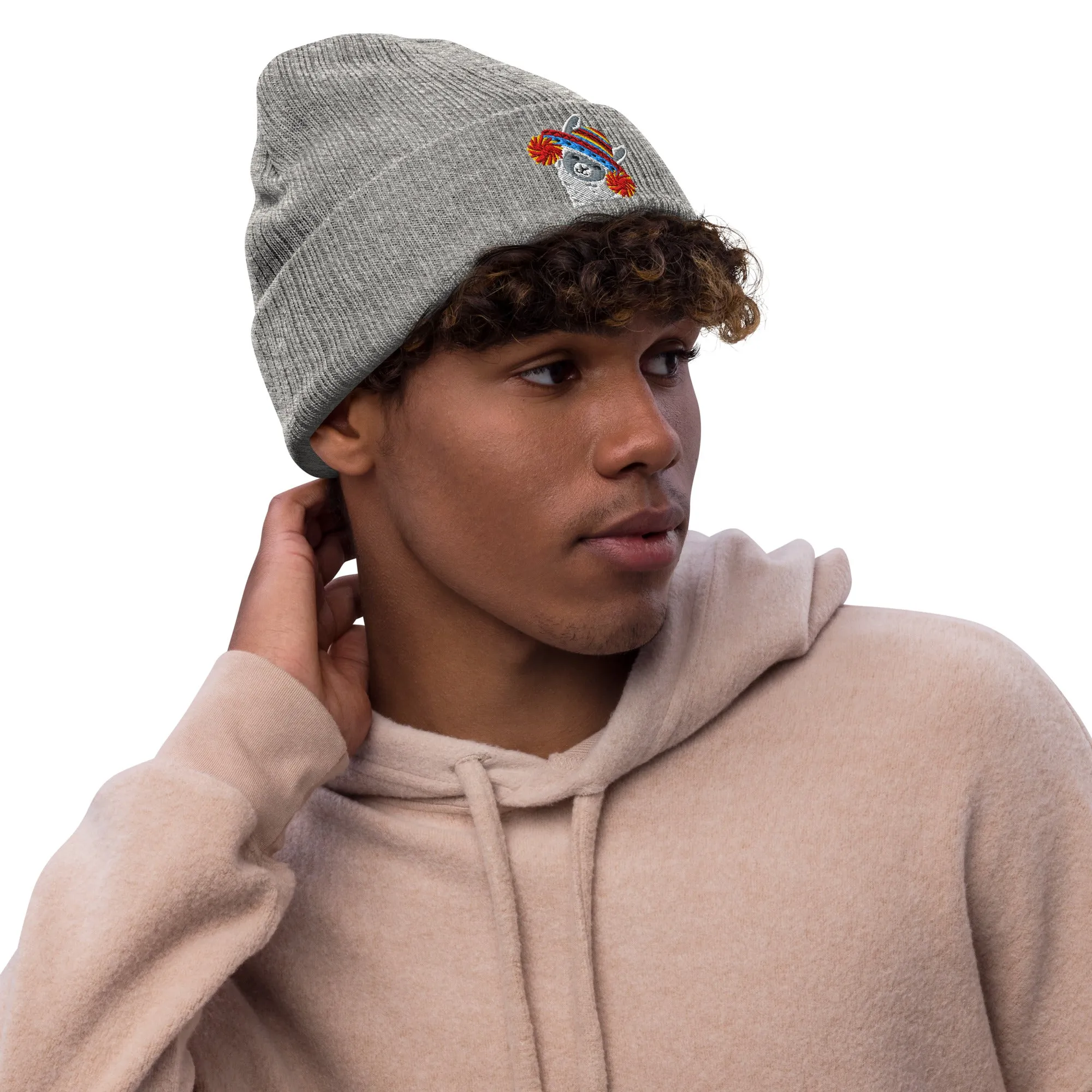 Peruvian Alpaca Embroidered Beanie