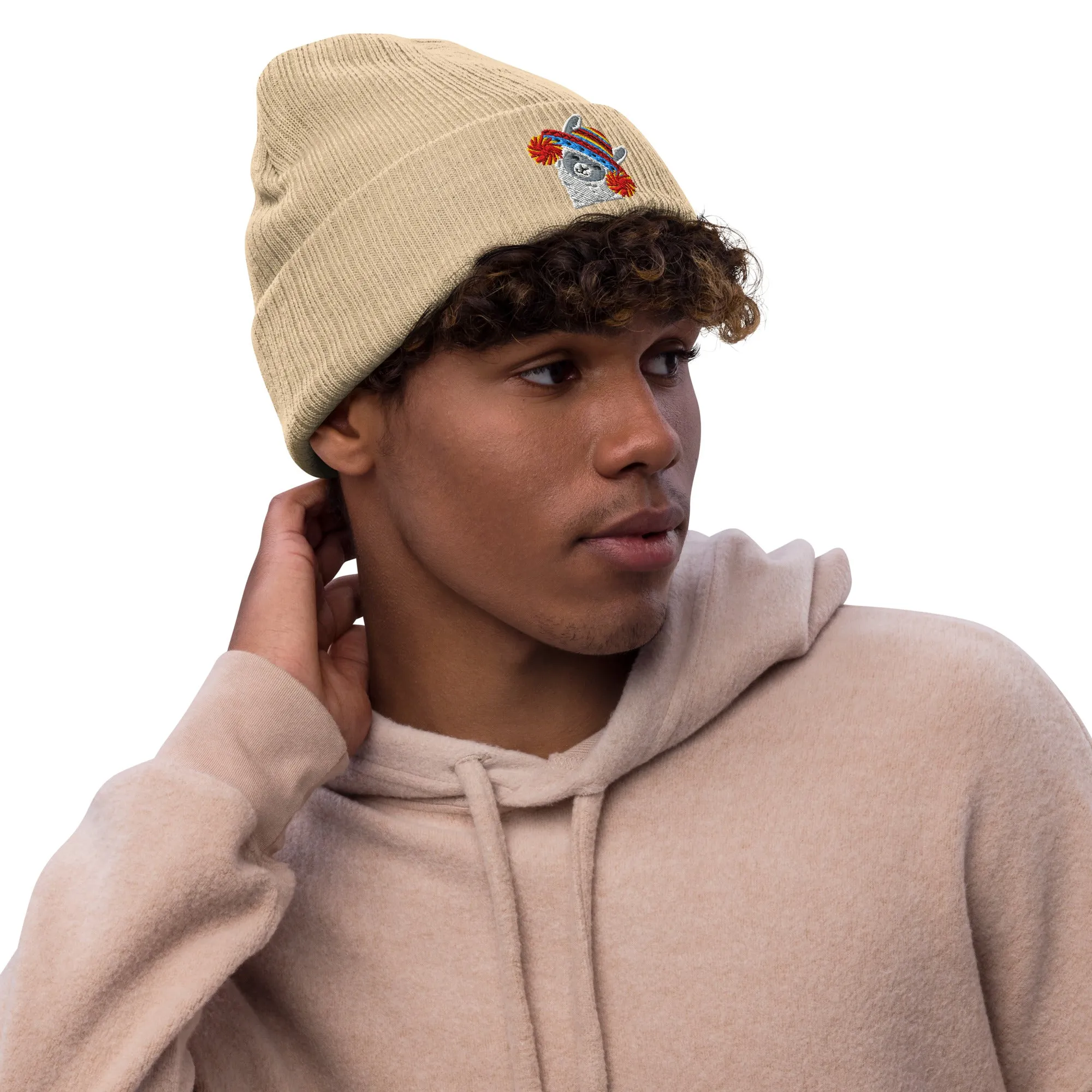 Peruvian Alpaca Embroidered Beanie