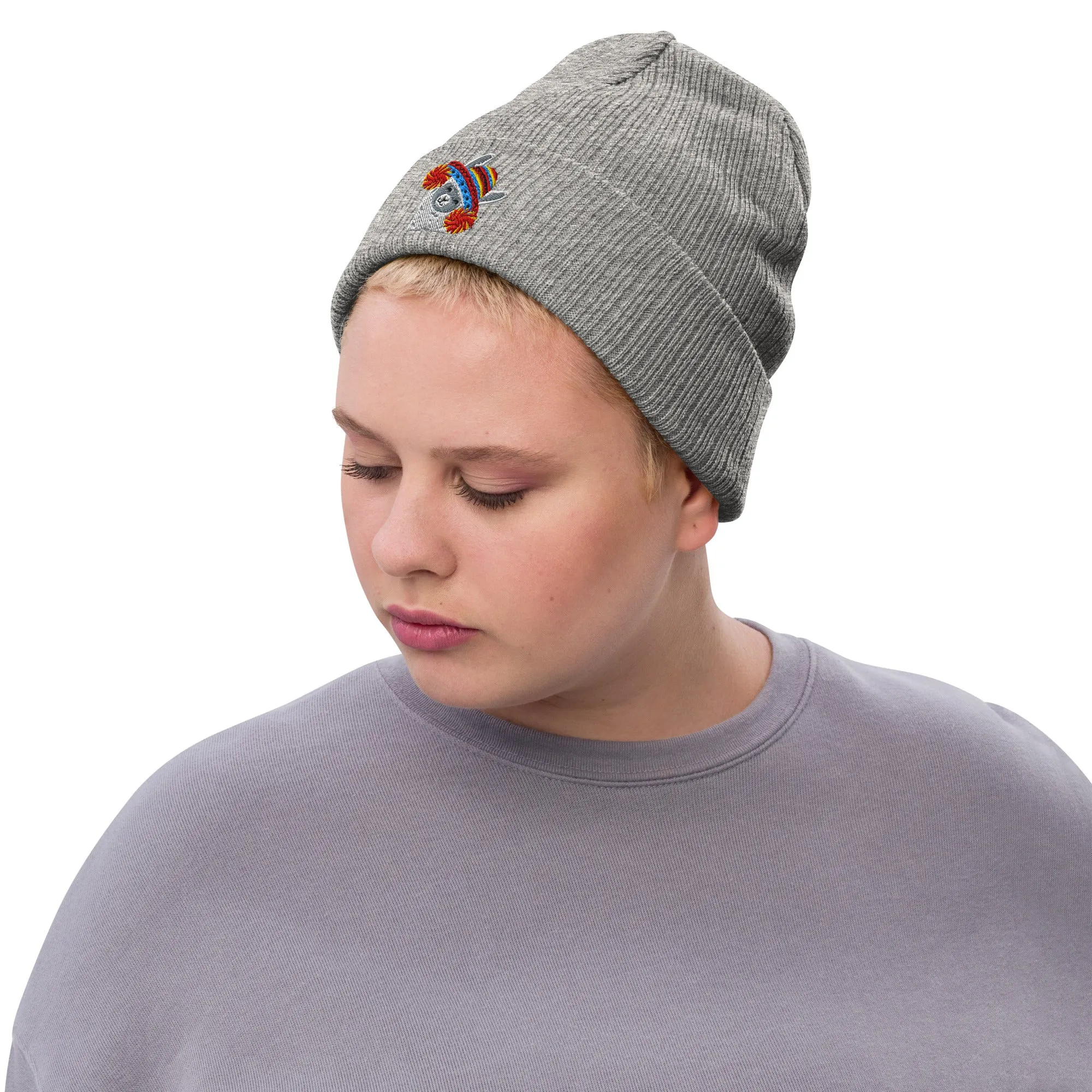 Peruvian Alpaca Embroidered Beanie